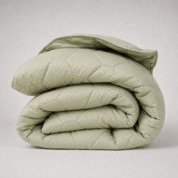 Олекотена зимна завивка Everyday Reseda - 150х210 см.