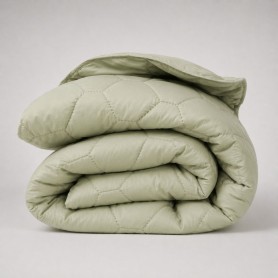 Олекотена зимна завивка Everyday Reseda - 150х210 см.