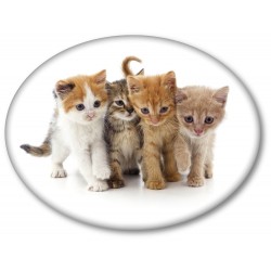 Оригинална декоративна възглавничка 3D Kittens