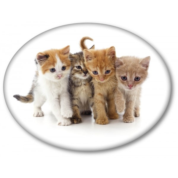 Оригинална декоративна възглавничка 3D Kittens Оригинална декоративна възглавничка 3D Kittens