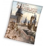 Плюшено пухкаво одеяло Harry Potter Hogwarts 130/160 см