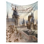 Плюшено пухкаво одеяло Harry Potter Hogwarts 130/160 см