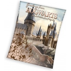 Плюшено пухкаво одеяло Harry Potter Hogwarts 130/160 см