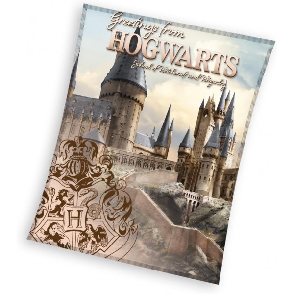Плюшено пухкаво одеяло Harry Potter Hogwarts 130/160 см